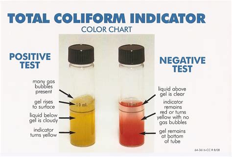 coliform tests on bottled water|positive coliform in well water.